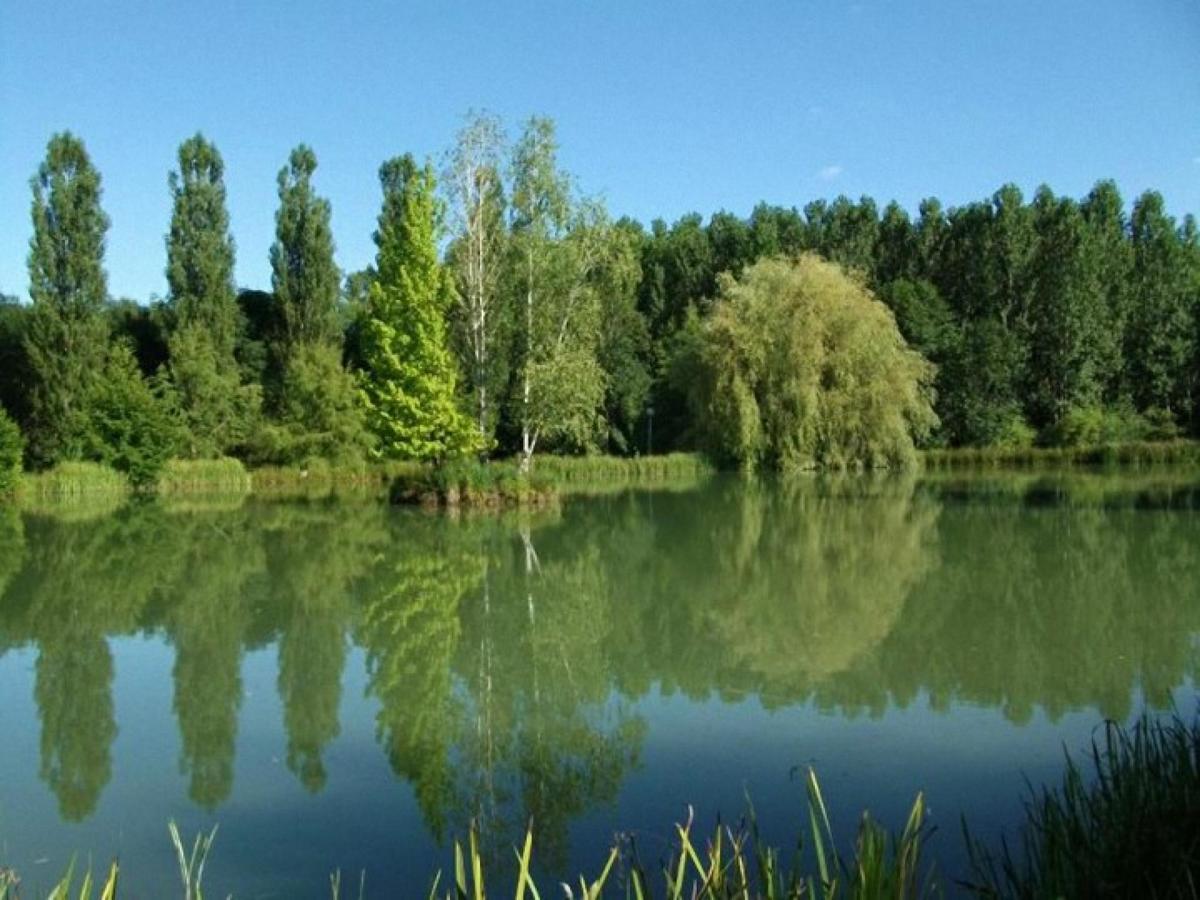 Le Domaine De L'Etang De Sandanet Issac Dış mekan fotoğraf