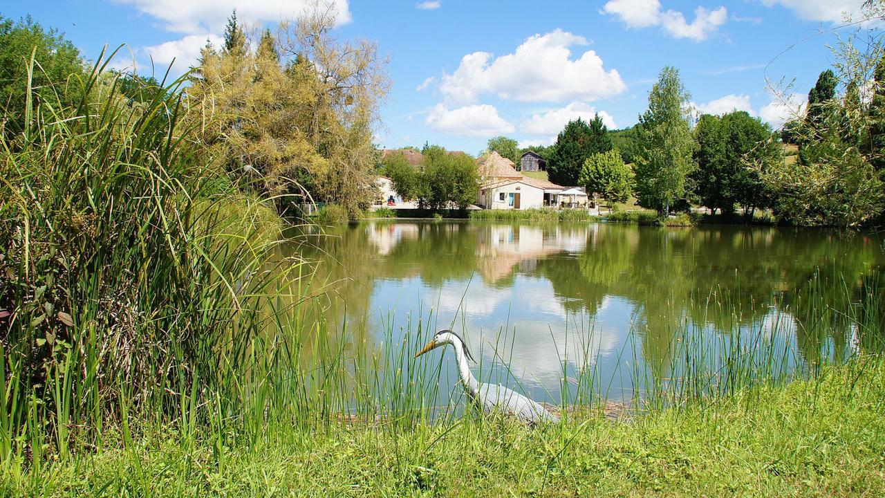 Le Domaine De L'Etang De Sandanet Issac Dış mekan fotoğraf