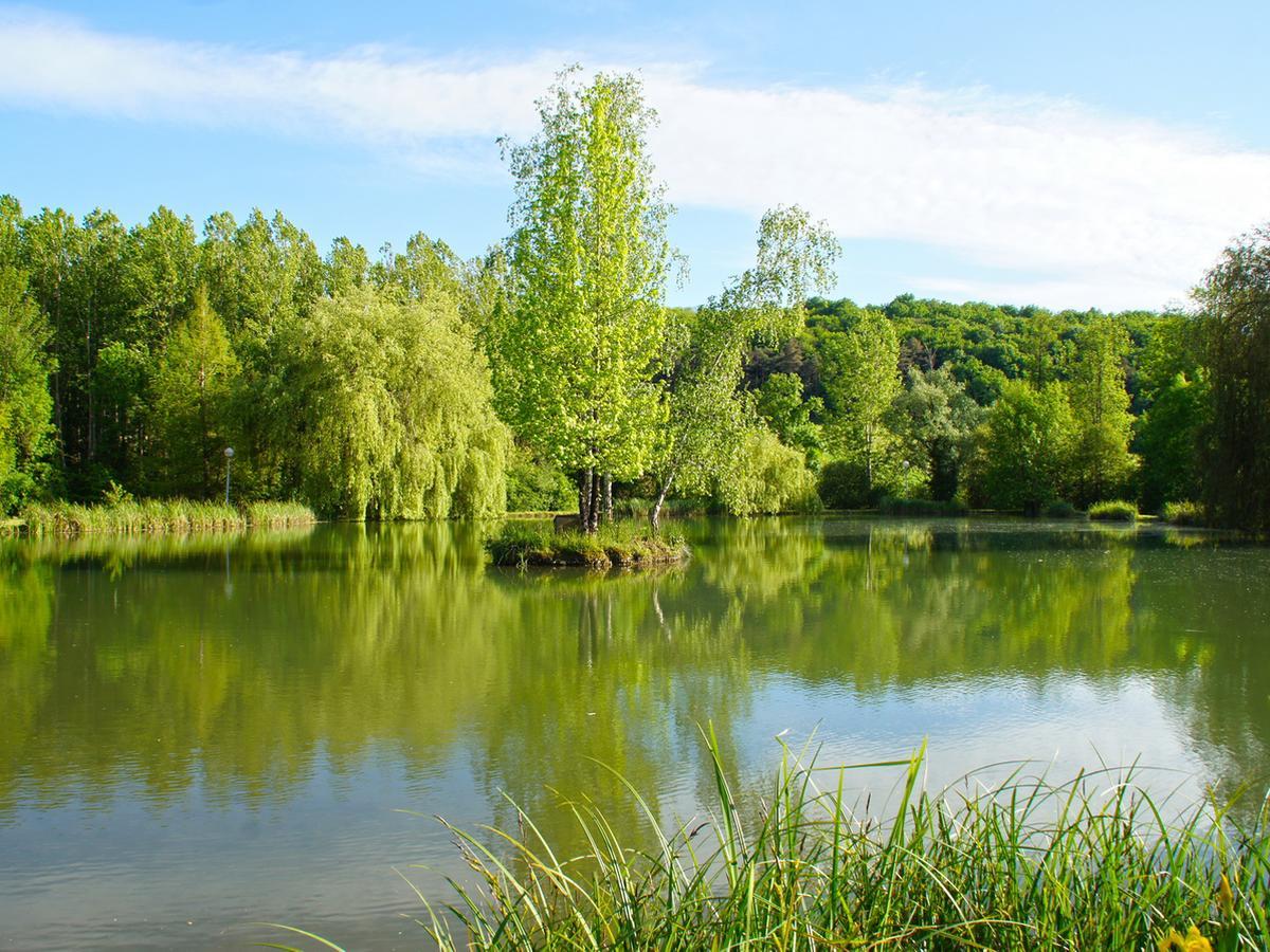 Le Domaine De L'Etang De Sandanet Issac Dış mekan fotoğraf